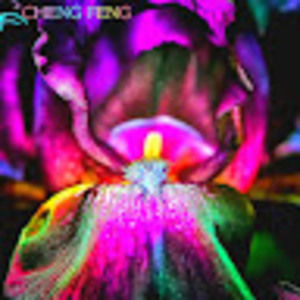 Meet your Posher, Iris